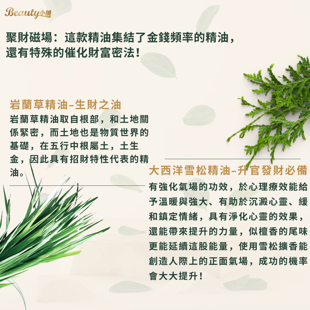 招財精油內圖 (1000 x 1000 像素) (1).png